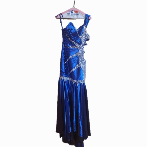 Elegant Blue Evening Gown - Picture 1 of 6
